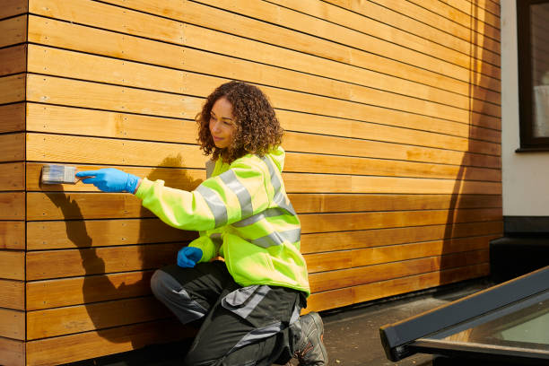 Best Siding Painting and Refinishing  in Silver Summit, UT